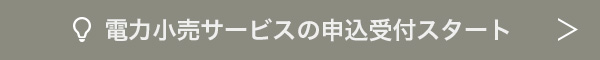 電力小売サービスの申込受付スタート